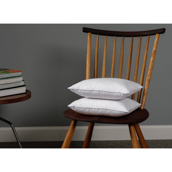 Wayfair Basics® Didomenico Euro Square Pillow Insert Wayfair